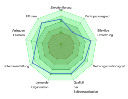 Messinstrument Beispiel auswertung